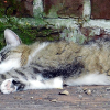 DSCN1399_klein