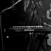 _D4S1533_klein
