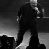 _NZ86203_klein