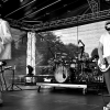 _D4S0120_klein
