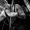 _NZ88642_klein