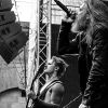 _NZ88742_klein