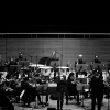 _D4S8838_klein