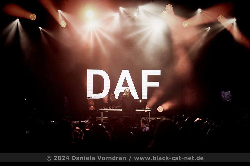 DAF (Robert Görl)