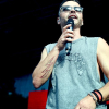 _D4S2385_klein