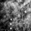 _D4S1137_klein