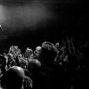 _NZ81065_klein