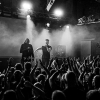 _NZ81358_klein