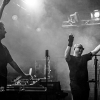 _NZ80881_klein