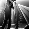 _NZ85608_klein