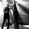 _NZ85722_klein