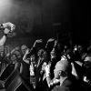 _NZ80977_klein
