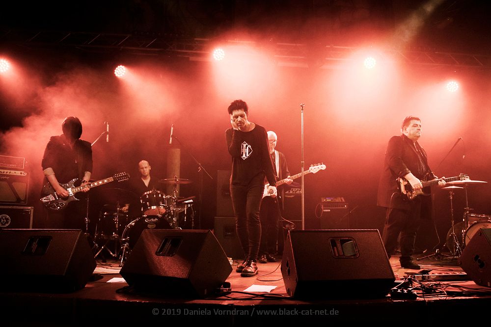 Golden Apes