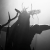 _D4S3868_klein