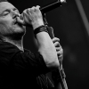 _NZ88425_klein