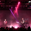 _NZ80313_klein