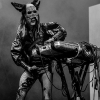 _D3S1078_klein