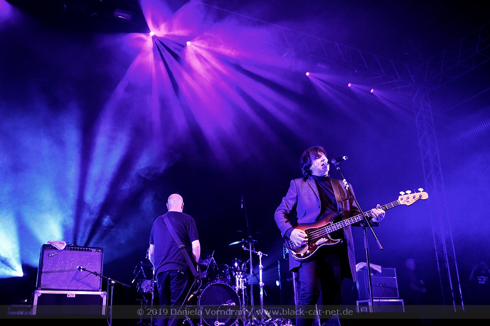 Chameleons Vox