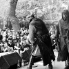 _D4S9683_klein