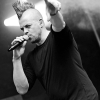 _D3S8278_klein
