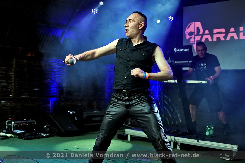 Paralyzzer