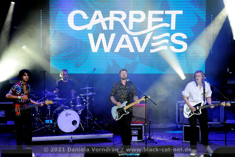 Carpet Waves