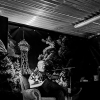 _D4S0759_klein