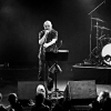_NZ81668_klein