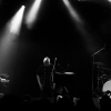 _NZ81688_klein