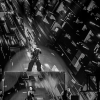 _NZ88180_klein