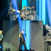 _NZ88283_klein