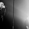 _D3S8822_klein