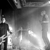 _D3S7035_klein