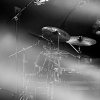 _DSC4345_klein