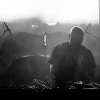 _D4S3836_klein