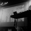 _D3S8088_klein