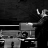 _D4S9006_klein