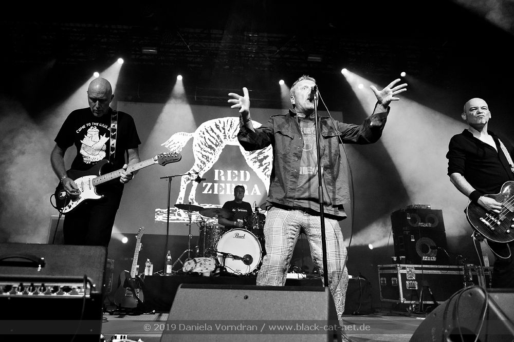 Live Red Zebra WFestival Waregem 18.08.2019