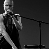 _NZ81079_klein