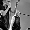 _NZ81080_klein