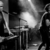 _NZ81101_klein