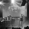 _NZ81132_klein