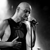 _NZ81143_klein
