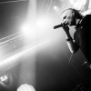 _D4S3983_klein