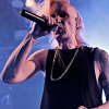 _NZ84335_klein