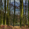 _DSC9463_klein