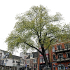 _DSC0890_klein