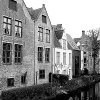 _DSC1481_klein