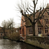 _DSC1574_klein