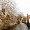 _DSC1596_klein